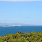 Collioure * Latour-Bas-Elne