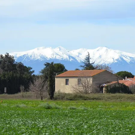 Collioure Holiday home Latour-Bas-Elne