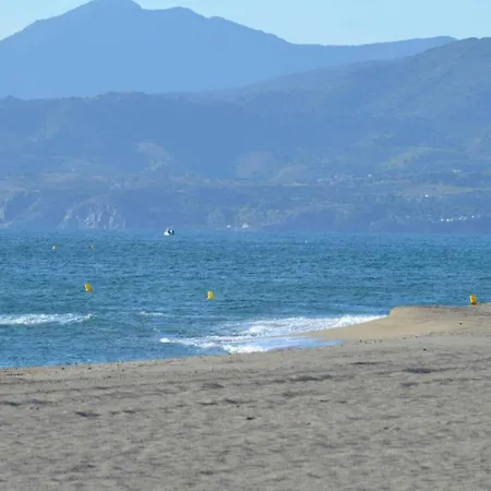 Collioure *