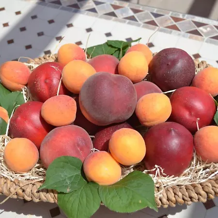 Semesterbostad Collioure