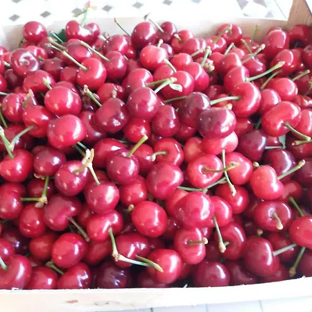 Semesterbostad Collioure *